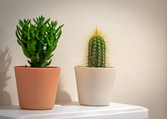 Apartment La Love-room D'alice Balneo Et Video-projecteur ! *